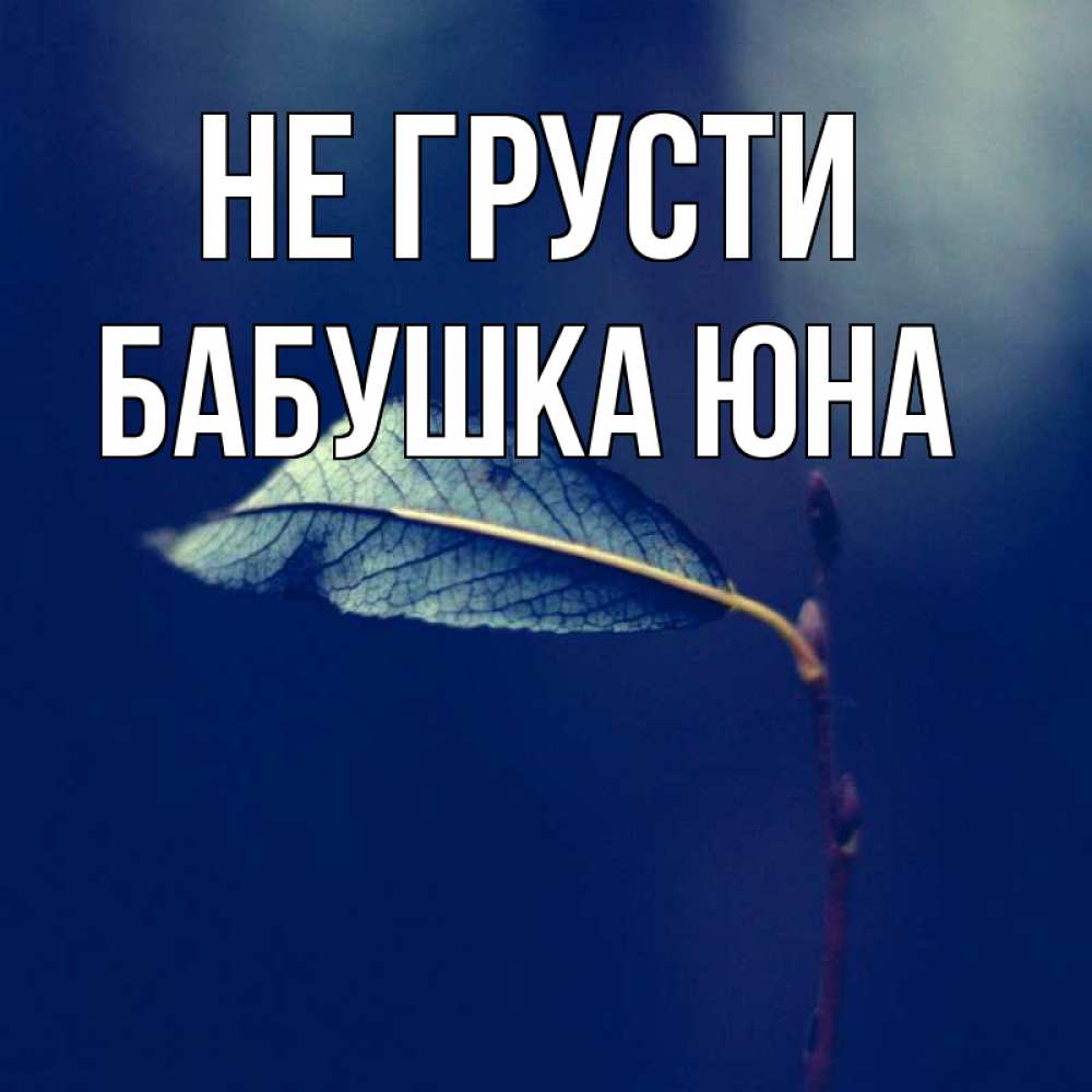 Открытка на каждый день с именем, Бабушка-Юна Не грусти растение Прикольная открытка с пожеланием онлайн скачать бесплатно 