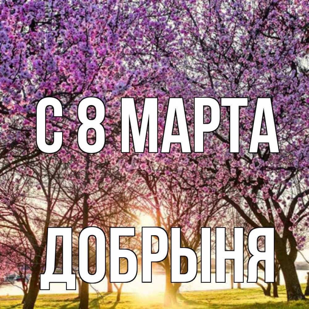 Открытка на каждый день с именем, Добрыня С 8 МАРТА международный женский день Прикольная открытка с пожеланием онлайн скачать бесплатно 