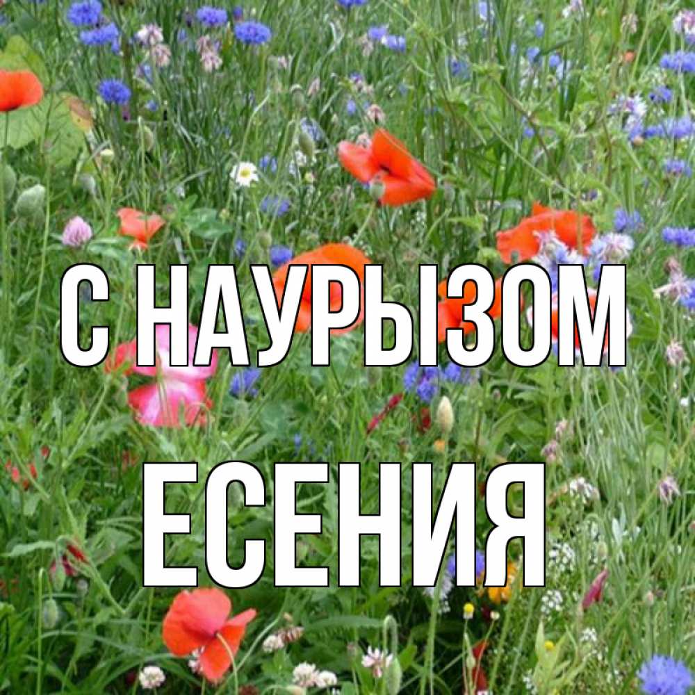 Открытка на каждый день с именем, Есения С наурызом праздник весны наурыз супер открытка Прикольная открытка с пожеланием онлайн скачать бесплатно 