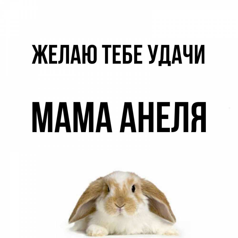 Открытка на каждый день с именем, Мама-Анеля Желаю тебе удачи открытки с произвольным текстом который можно вставить в открытку и создать ее самостоятельно бесплатно онлайн Прикольная открытка с пожеланием онлайн скачать бесплатно 
