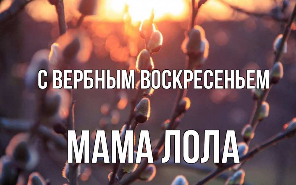 Открытка на каждый день с именем, Мама-Лола С вербным воскресеньем верба Прикольная открытка с пожеланием онлайн скачать бесплатно 