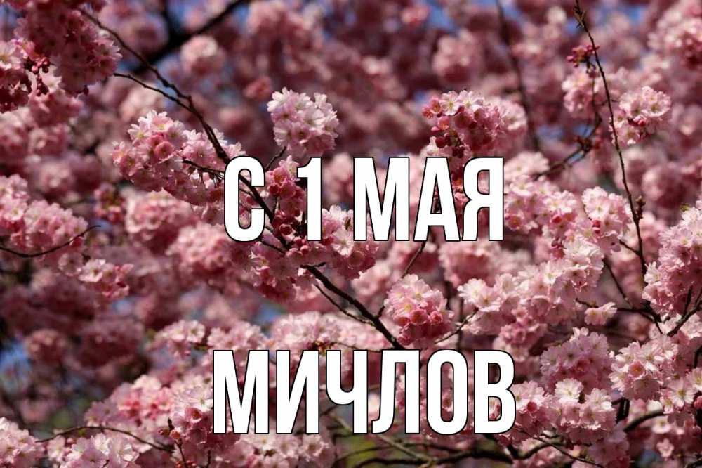 Открытка на каждый день с именем, Мичлов С 1 мая С 1 мая Прикольная открытка с пожеланием онлайн скачать бесплатно 