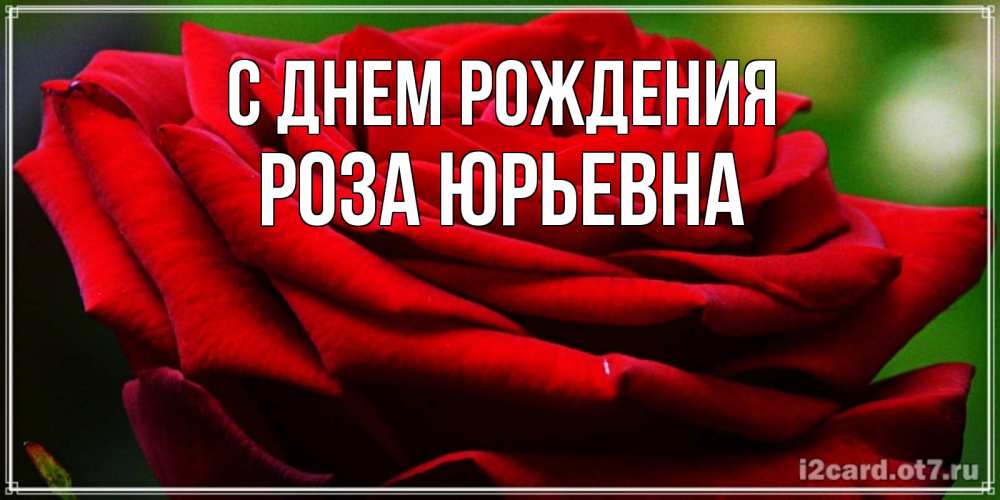 Открытка на каждый день с именем, Роза-Юрьевна С днем рождения розочка очень красивая Прикольная открытка с пожеланием онлайн скачать бесплатно 
