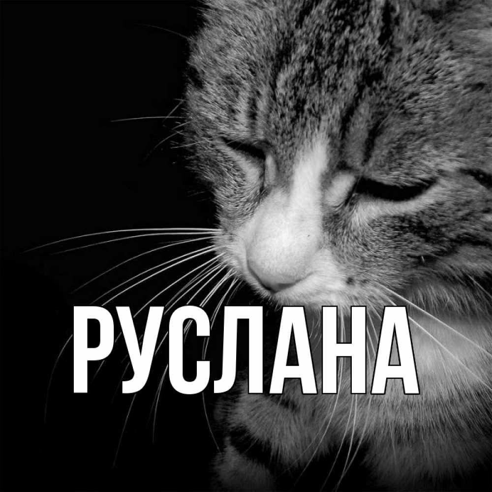 Открытка на каждый день с именем, Руслана Главная грустный котик Прикольная открытка с пожеланием онлайн скачать бесплатно 