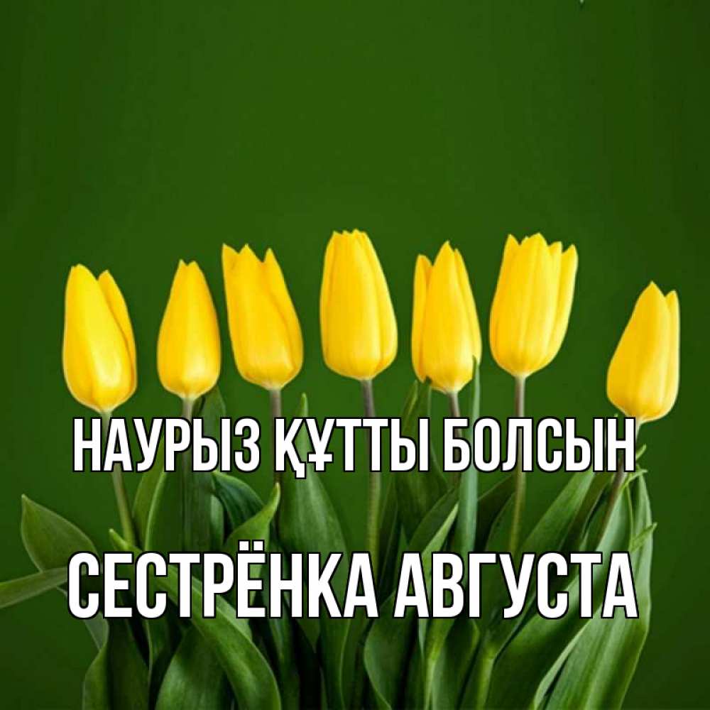 Открытка на каждый день с именем, Сестрёнка-Августа Наурыз құтты болсын желтого цвета 3 Прикольная открытка с пожеланием онлайн скачать бесплатно 