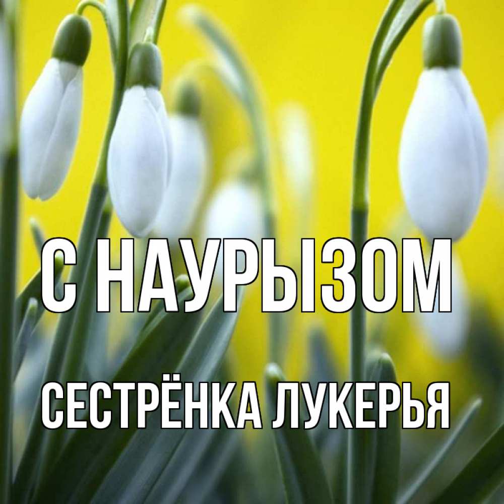 Открытка на каждый день с именем, Сестрёнка-Лукерья С наурызом весенние цветы Прикольная открытка с пожеланием онлайн скачать бесплатно 