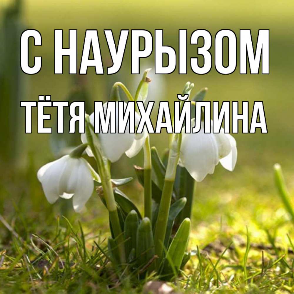 Открытка на каждый день с именем, Тётя-Михайлина С наурызом ранние цветы 2 Прикольная открытка с пожеланием онлайн скачать бесплатно 