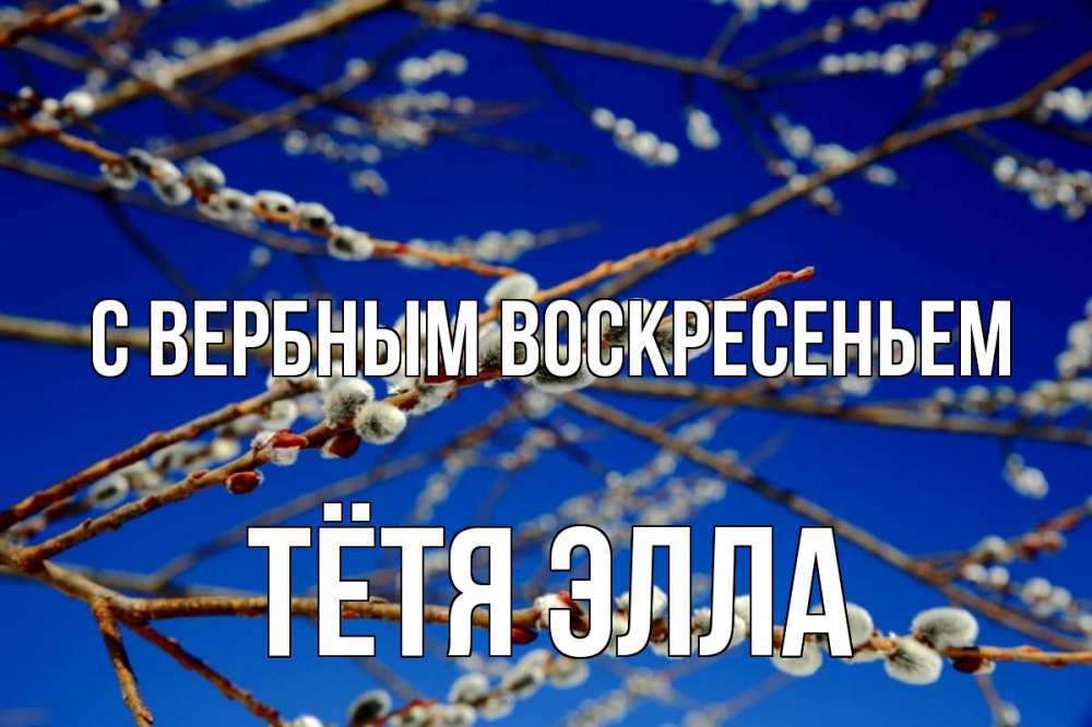 Открытка на каждый день с именем, Тётя-Элла С вербным воскресеньем верба Прикольная открытка с пожеланием онлайн скачать бесплатно 