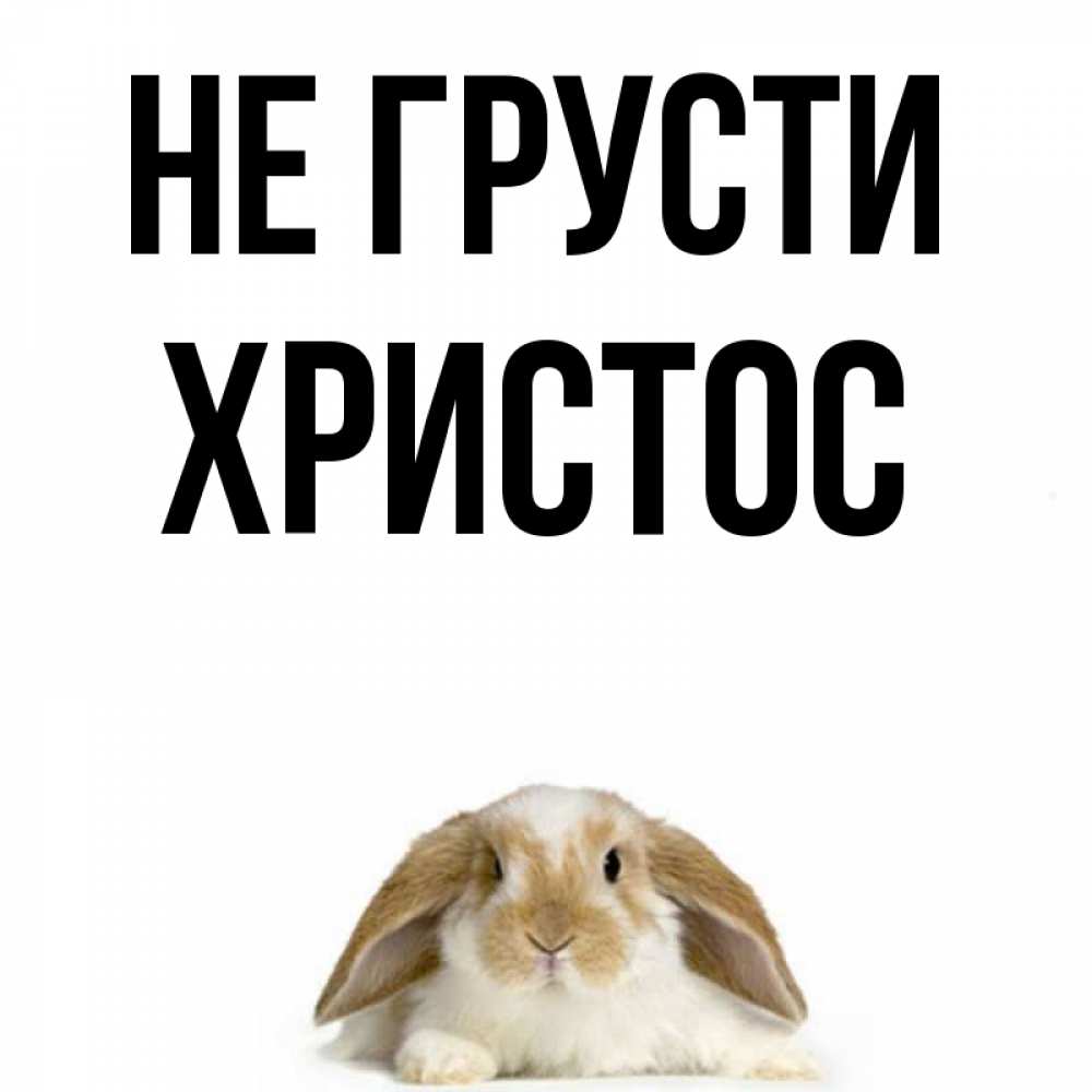 Открытка на каждый день с именем, Христос Не грусти коричнево белый заяц с большими ушками Прикольная открытка с пожеланием онлайн скачать бесплатно 