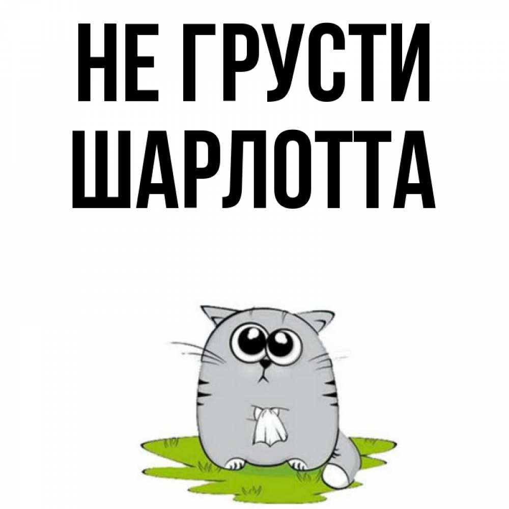 Открытка на каждый день с именем, Шарлотта Не грусти грустный котяра Прикольная открытка с пожеланием онлайн скачать бесплатно 