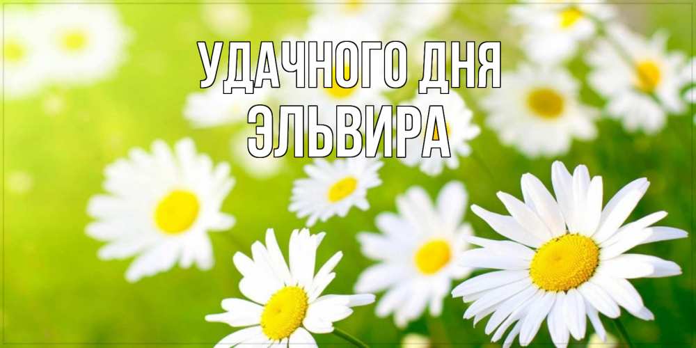 Открытка на каждый день с именем, Эльвира Удачного дня открытка с ромашками на зеленом фоне Прикольная открытка с пожеланием онлайн скачать бесплатно 