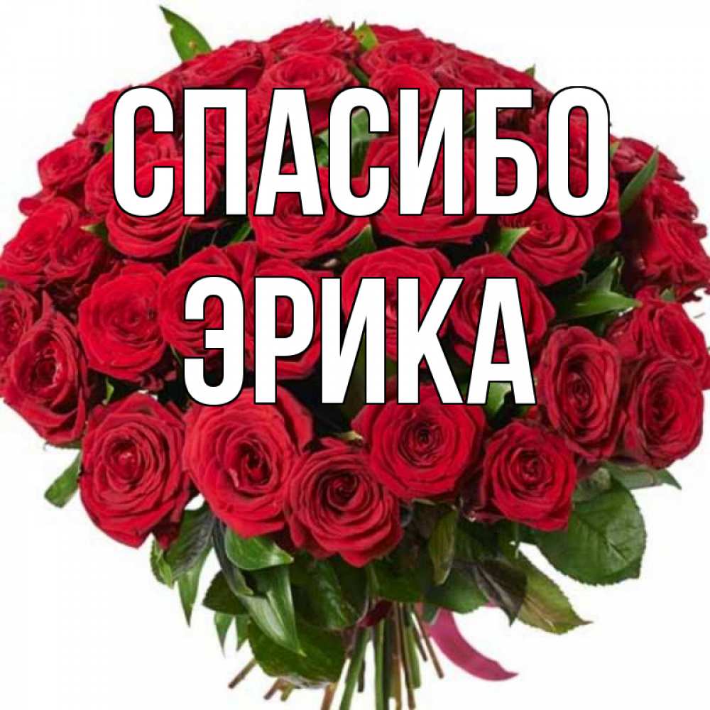 Открытка на каждый день с именем, Эрика Спасибо букет красных роз Прикольная открытка с пожеланием онлайн скачать бесплатно 
