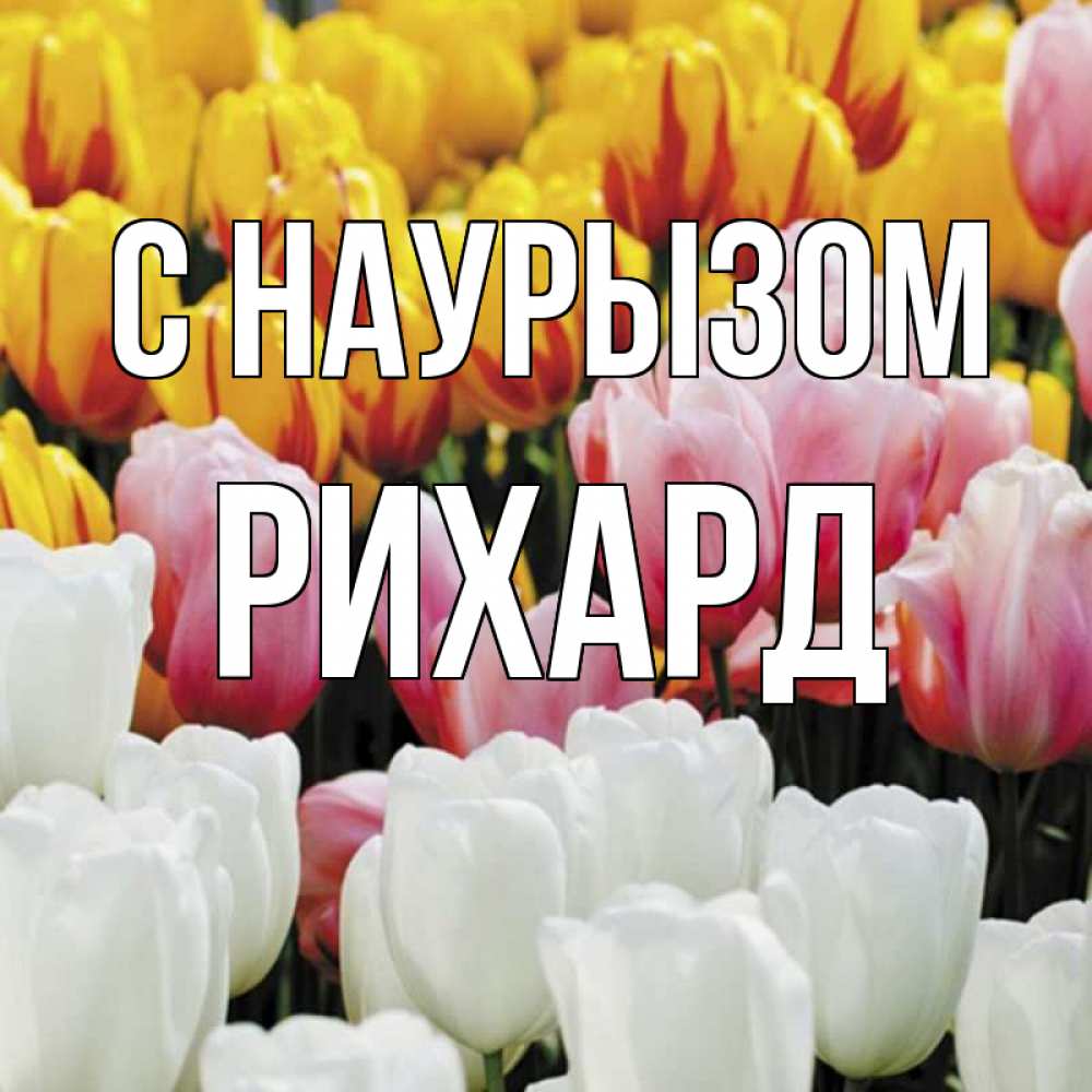 Открытка на каждый день с именем, Рихард С наурызом разноцветные цветы Прикольная открытка с пожеланием онлайн скачать бесплатно 