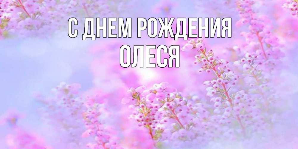 Открытка на каждый день с именем, Олеся С днем рождения красивая открытка с мелкими цветами Прикольная открытка с пожеланием онлайн скачать бесплатно 