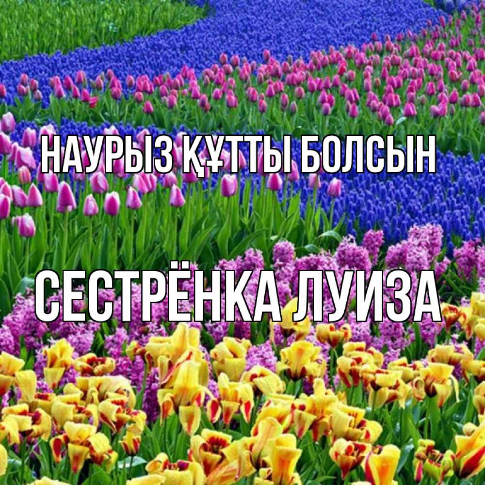 Открытка на каждый день с именем, Сестрёнка-Луиза Наурыз құтты болсын цветы Прикольная открытка с пожеланием онлайн скачать бесплатно 