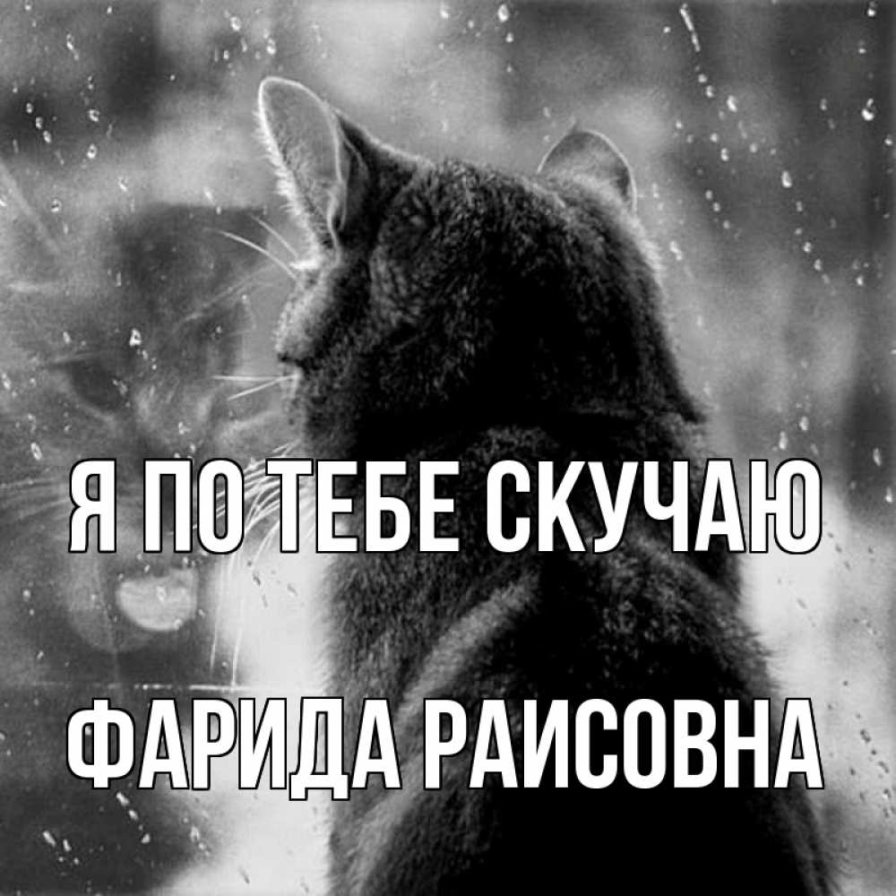 Картинка Я по тебе скучаю, Фарида Раисовна