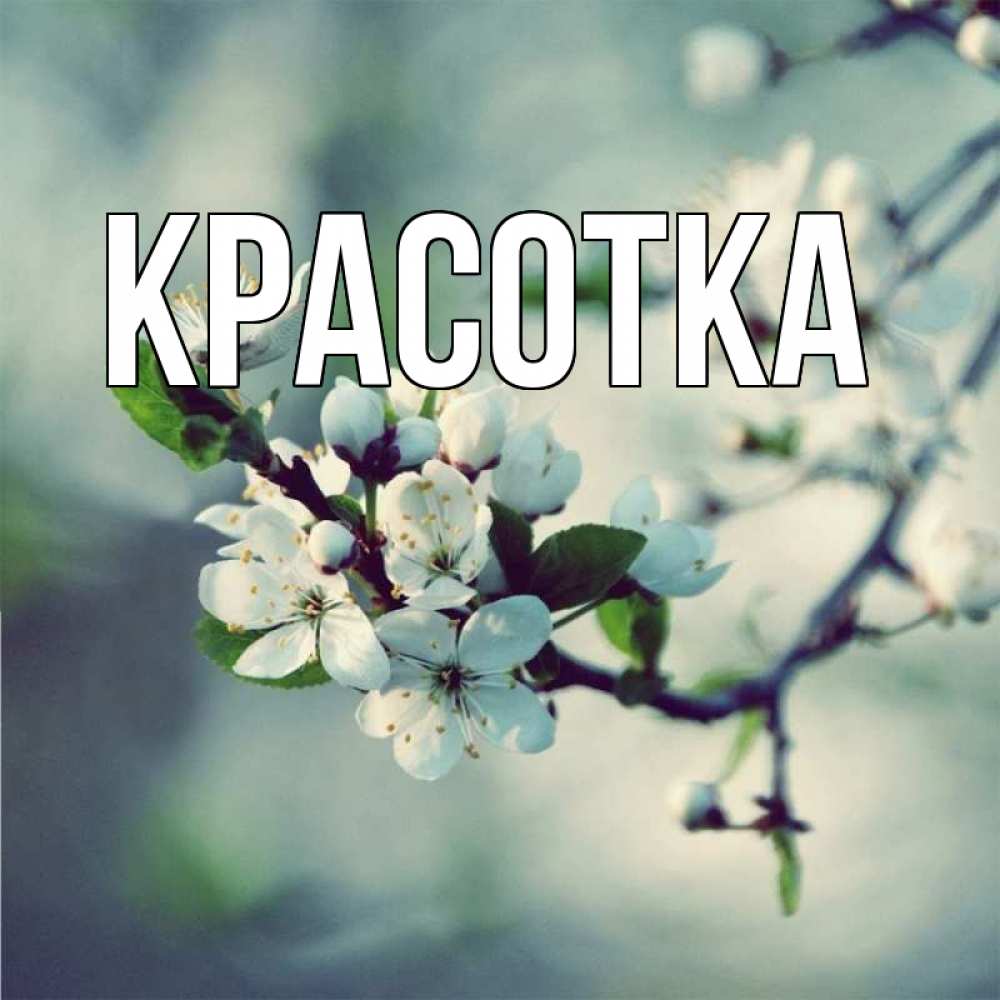 Открытка на каждый день с именем, красотка Главная яблоня в цвету 1 Прикольная открытка с пожеланием онлайн скачать бесплатно 