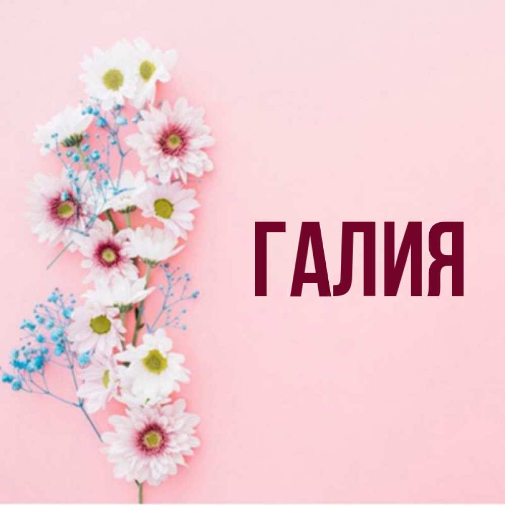галий имя