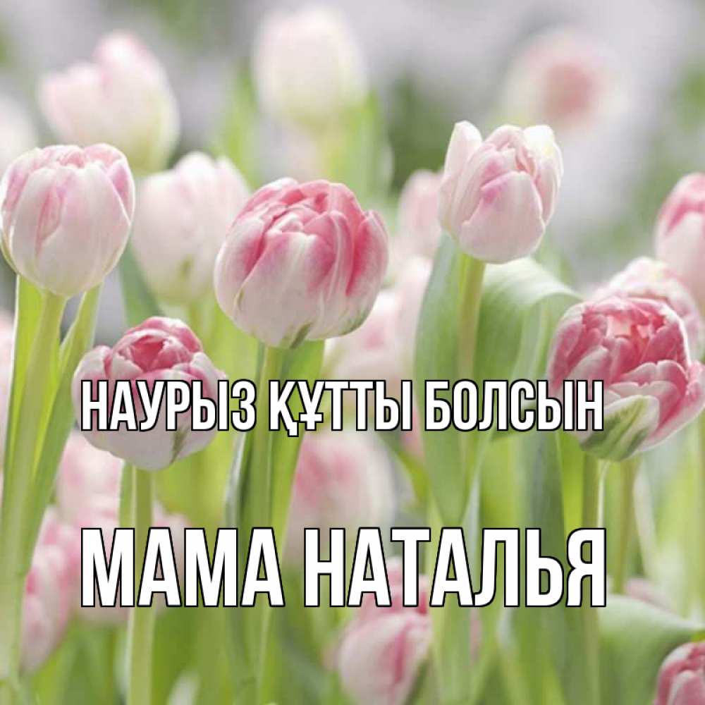 Открытка на каждый день с именем, Мама-Наталья Наурыз құтты болсын цветы Прикольная открытка с пожеланием онлайн скачать бесплатно 