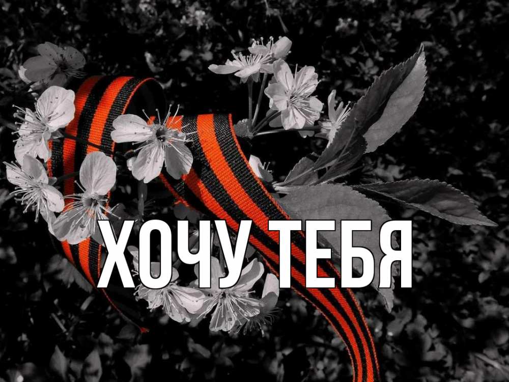 Открытка на каждый день с именем, Хочу-тебя Главная 9 мая Прикольная открытка с пожеланием онлайн скачать бесплатно 