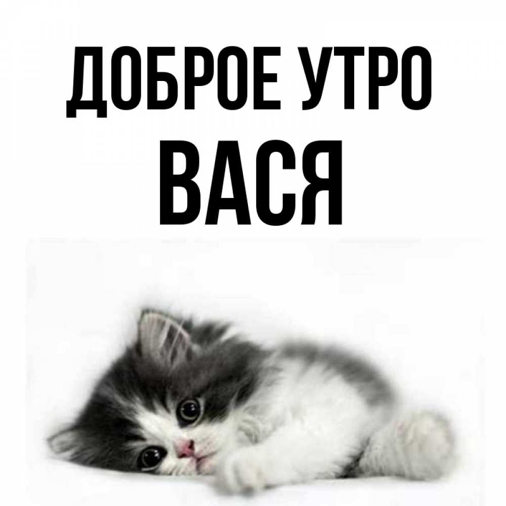 С Добрым Утром Васенька