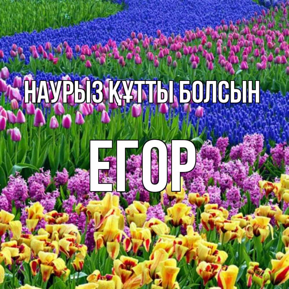 Открытка на каждый день с именем, Егор Наурыз құтты болсын цветы Прикольная открытка с пожеланием онлайн скачать бесплатно 