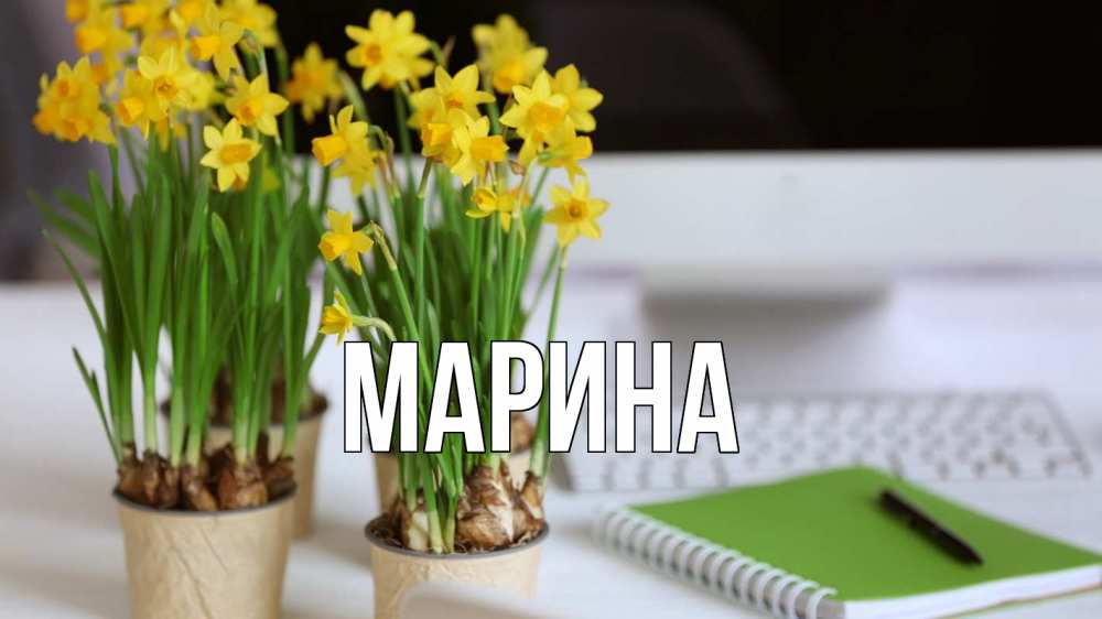 Открытка на каждый день с именем, Марина Главная с днем бухгалтера Прикольная открытка с пожеланием онлайн скачать бесплатно 