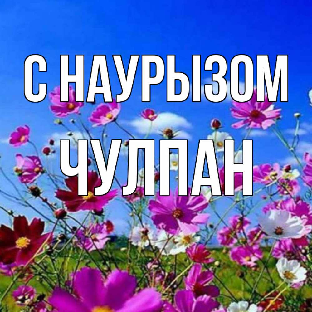 Открытка на каждый день с именем, Чулпан С наурызом цветы Прикольная открытка с пожеланием онлайн скачать бесплатно 