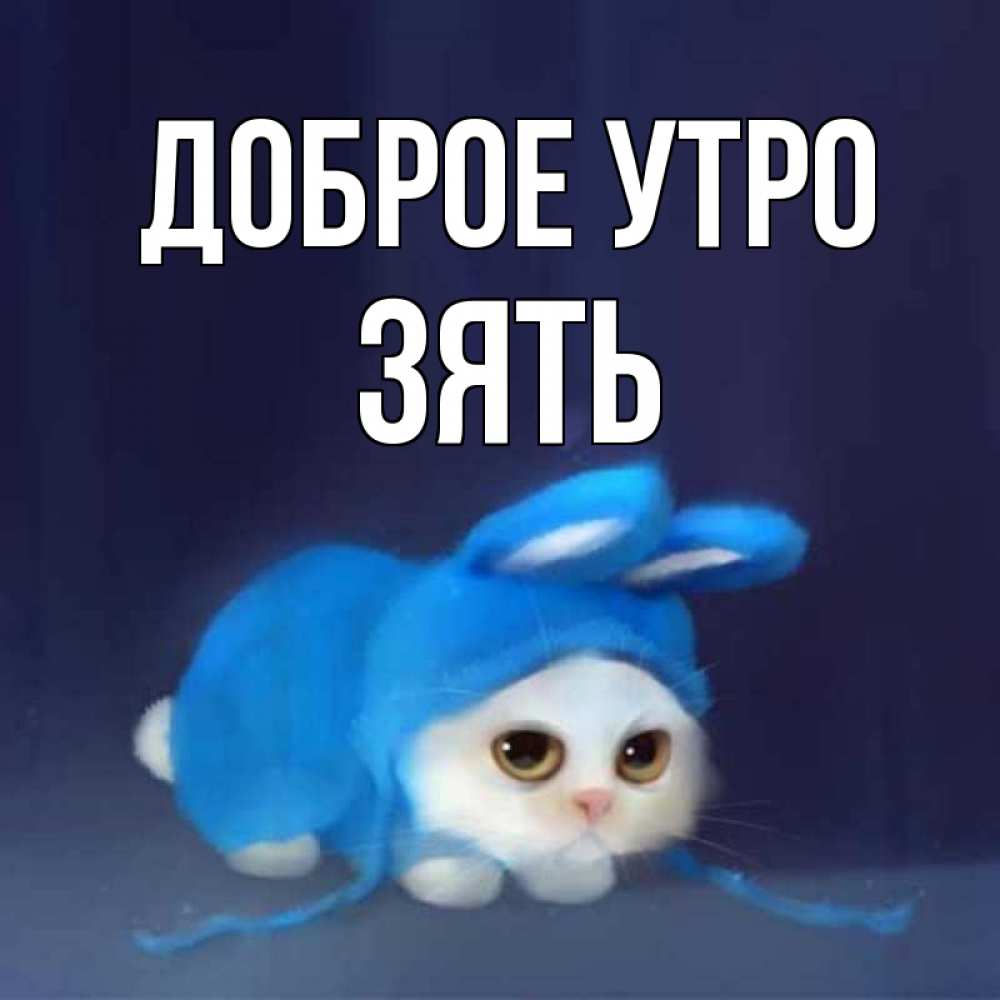 Открытка на каждый день с именем, Зять Доброе утро открытки красивые скачать бесплатно Прикольная открытка с пожеланием онлайн скачать бесплатно 