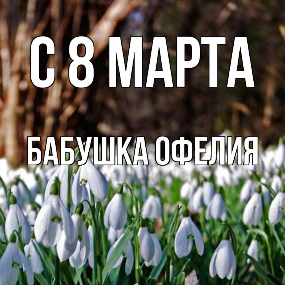 Открытка на каждый день с именем, Бабушка-Офелия С 8 марта с подснежниками 1 Прикольная открытка с пожеланием онлайн скачать бесплатно 