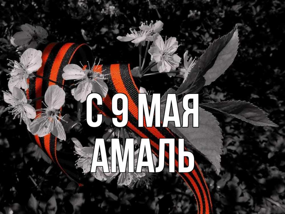 Открытка на каждый день с именем, Амаль С 9 мая 9 мая Прикольная открытка с пожеланием онлайн скачать бесплатно 