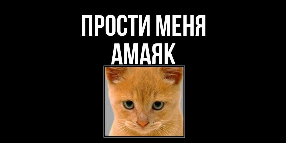 Открытка на каждый день с именем, Амаяк Прости меня рыжий грустный кот просит прощения Прикольная открытка с пожеланием онлайн скачать бесплатно 