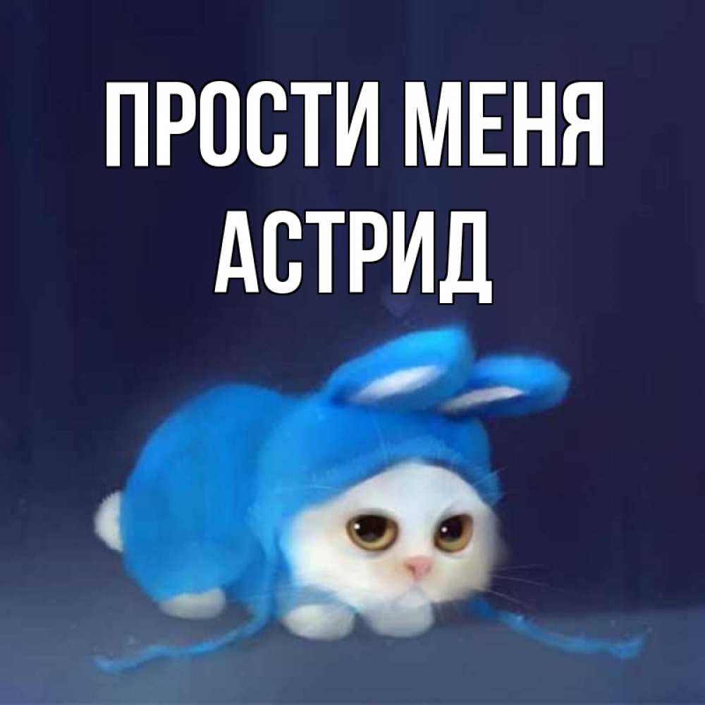 Открытка на каждый день с именем, Астрид Прости меня невинный котозай просит прощения Прикольная открытка с пожеланием онлайн скачать бесплатно 