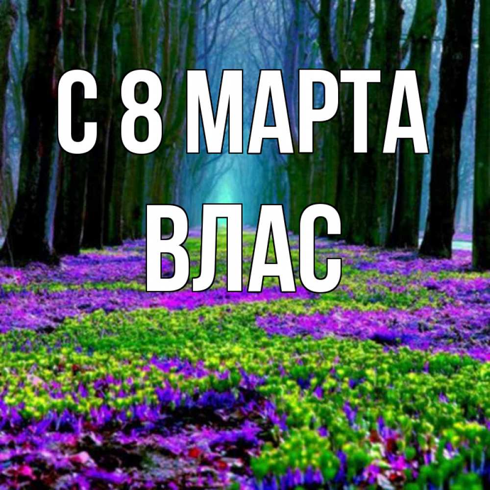 Картинка С 8 марта, Влас