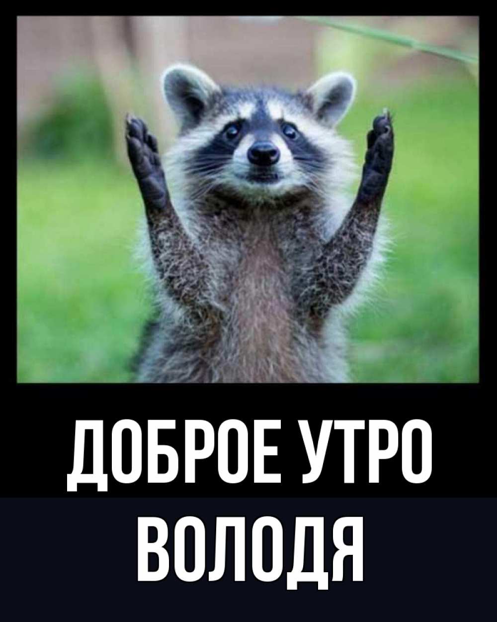 Открытка на каждый день с именем, Володя Доброе утро хорошее настроение утречком Прикольная открытка с пожеланием онлайн скачать бесплатно 