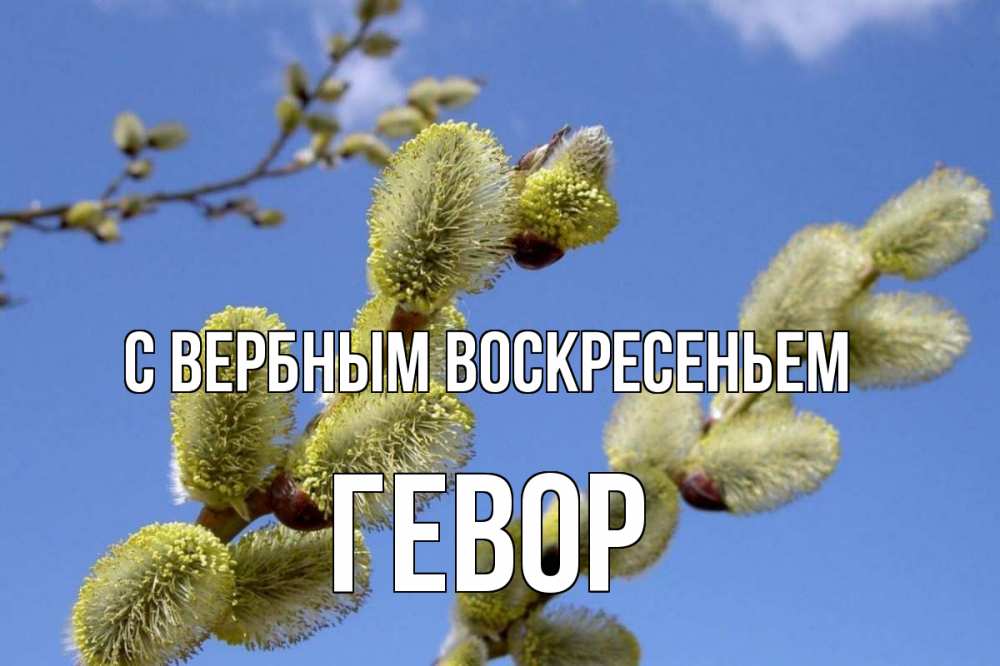 Открытка на каждый день с именем, Гевор С вербным воскресеньем верба Прикольная открытка с пожеланием онлайн скачать бесплатно 