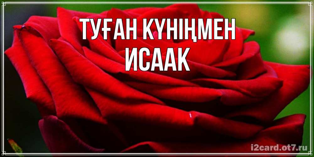 Открытка на каждый день с именем, Исаак Туған күніңмен розочка очень красивая Прикольная открытка с пожеланием онлайн скачать бесплатно 