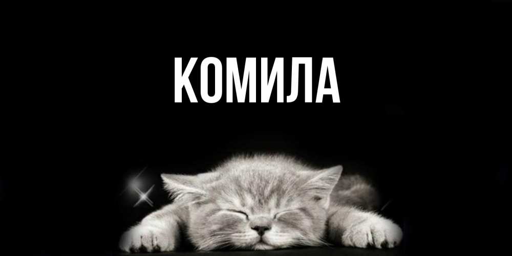 Открытка на каждый день с именем, Комила Главная спящий котик Прикольная открытка с пожеланием онлайн скачать бесплатно 