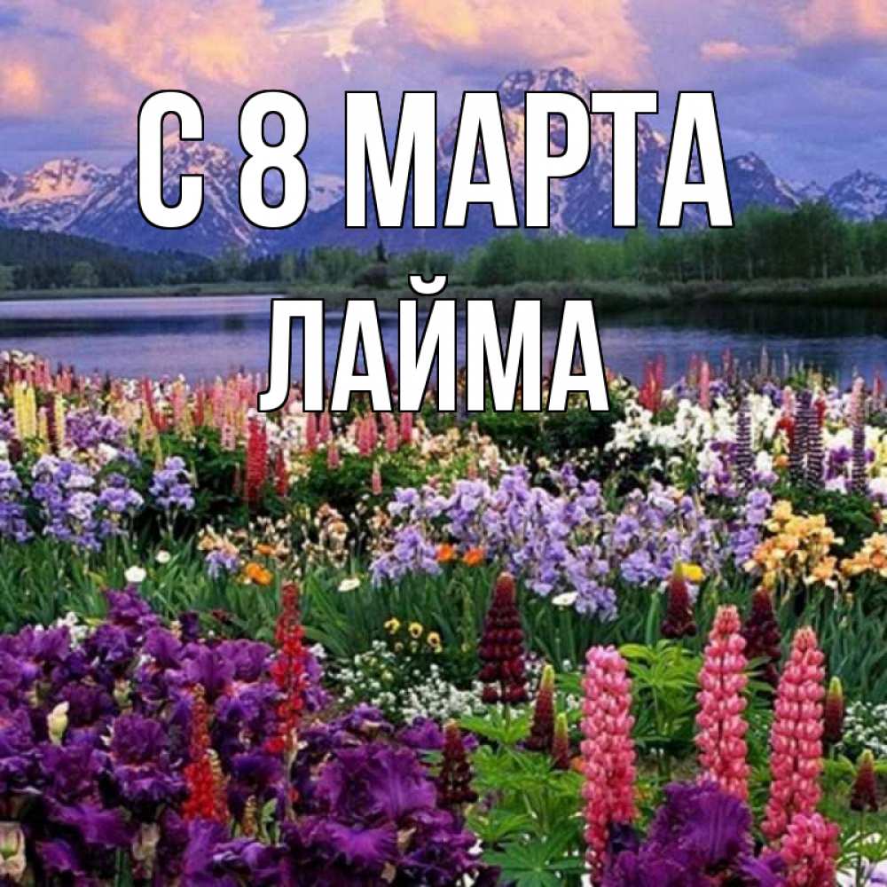 Открытка на каждый день с именем, Лайма С 8 МАРТА международный женский день Прикольная открытка с пожеланием онлайн скачать бесплатно 