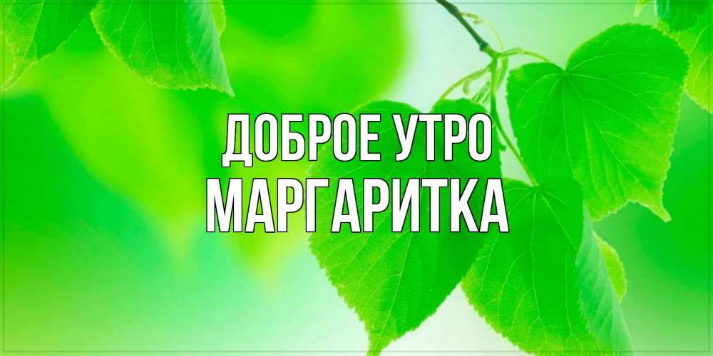 Открытка на каждый день с именем, МАРГАРИТКА Доброе утро доброе утро с березовыми листьями Прикольная открытка с пожеланием онлайн скачать бесплатно 