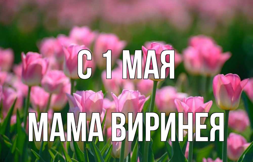 Открытка на каждый день с именем, Мама-Виринея С 1 мая С 1 мая Прикольная открытка с пожеланием онлайн скачать бесплатно 