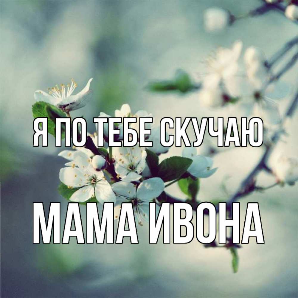 Открытка на каждый день с именем, Мама-Ивона Я по тебе скучаю весна Прикольная открытка с пожеланием онлайн скачать бесплатно 