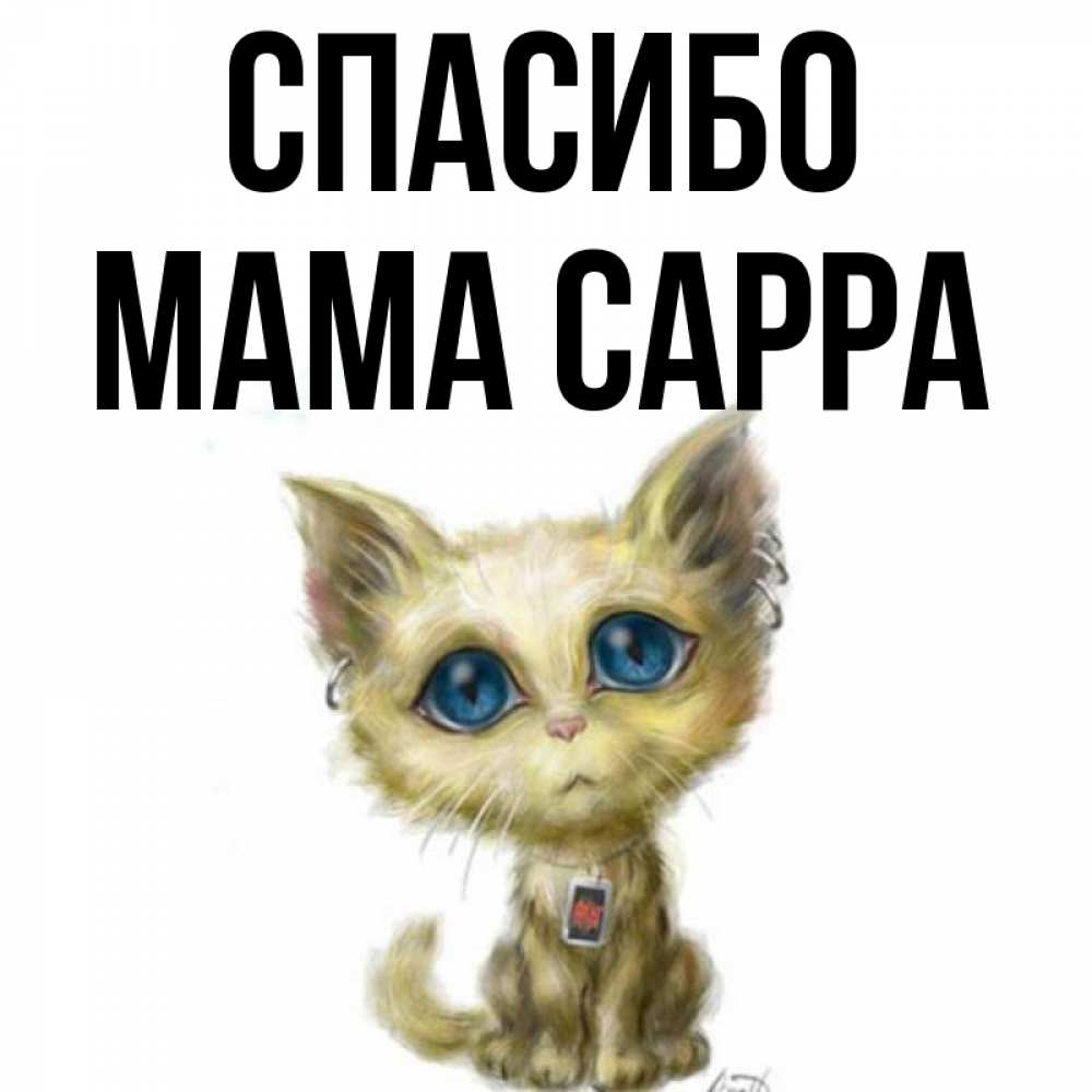 Открытка на каждый день с именем, Мама-Сарра Спасибо рисованный кот благодарит вас Прикольная открытка с пожеланием онлайн скачать бесплатно 