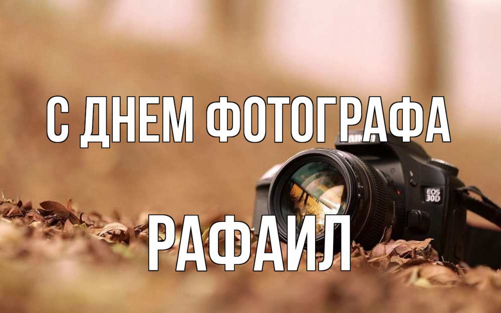 Открытка на каждый день с именем, Рафаил С днем фотографа с днем фотографа Прикольная открытка с пожеланием онлайн скачать бесплатно 