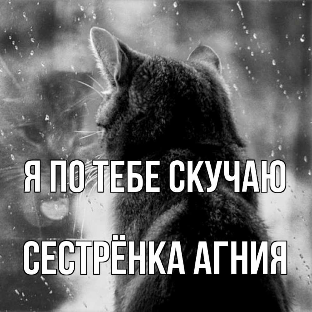 Открытка на каждый день с именем, Сестрёнка-Агния Я по тебе скучаю скорее ко мне приходи 1 Прикольная открытка с пожеланием онлайн скачать бесплатно 