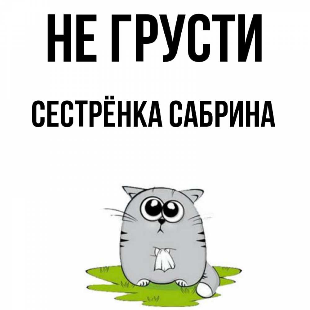 Открытка на каждый день с именем, Сестрёнка-Сабрина Не грусти грустный котяра Прикольная открытка с пожеланием онлайн скачать бесплатно 