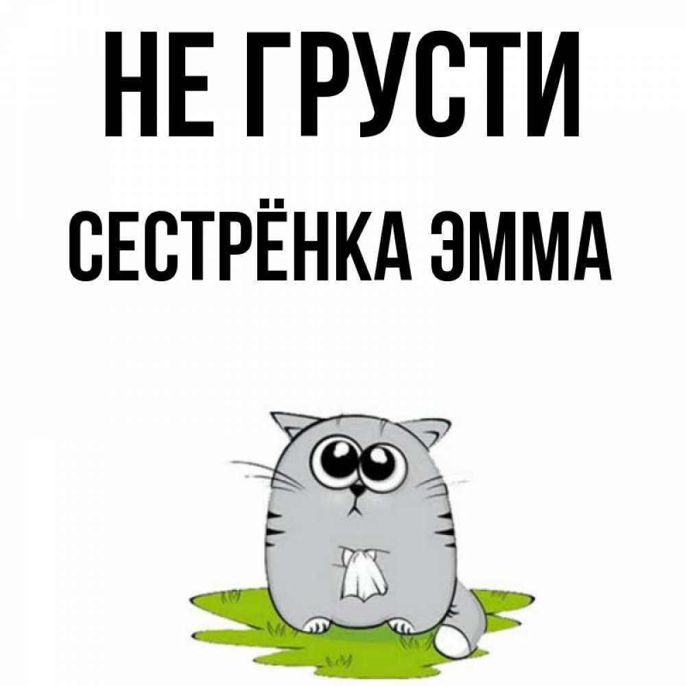 Открытка на каждый день с именем, Сестрёнка-Эмма Не грусти грустный котяра Прикольная открытка с пожеланием онлайн скачать бесплатно 