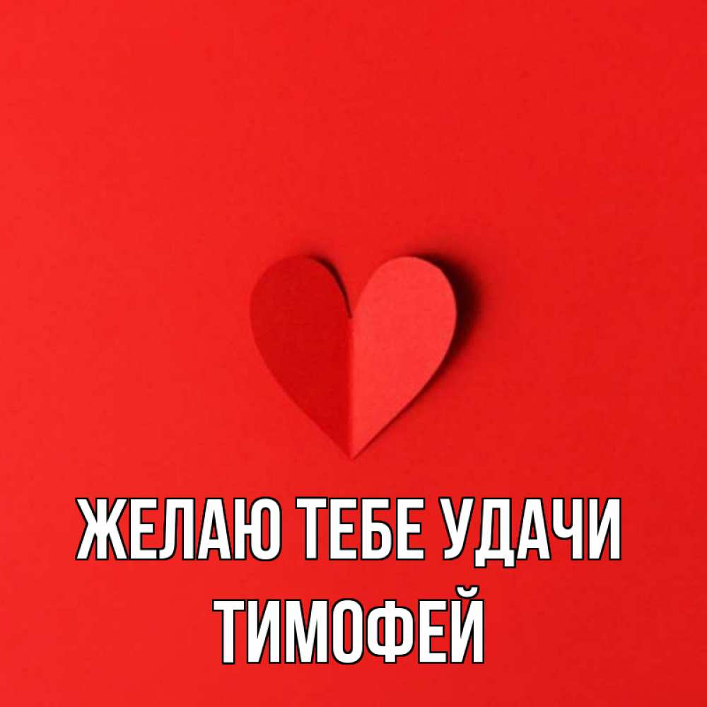 Открытка на каждый день с именем, Тимофей Желаю тебе удачи пусть повезет для любимых 1 Прикольная открытка с пожеланием онлайн скачать бесплатно 