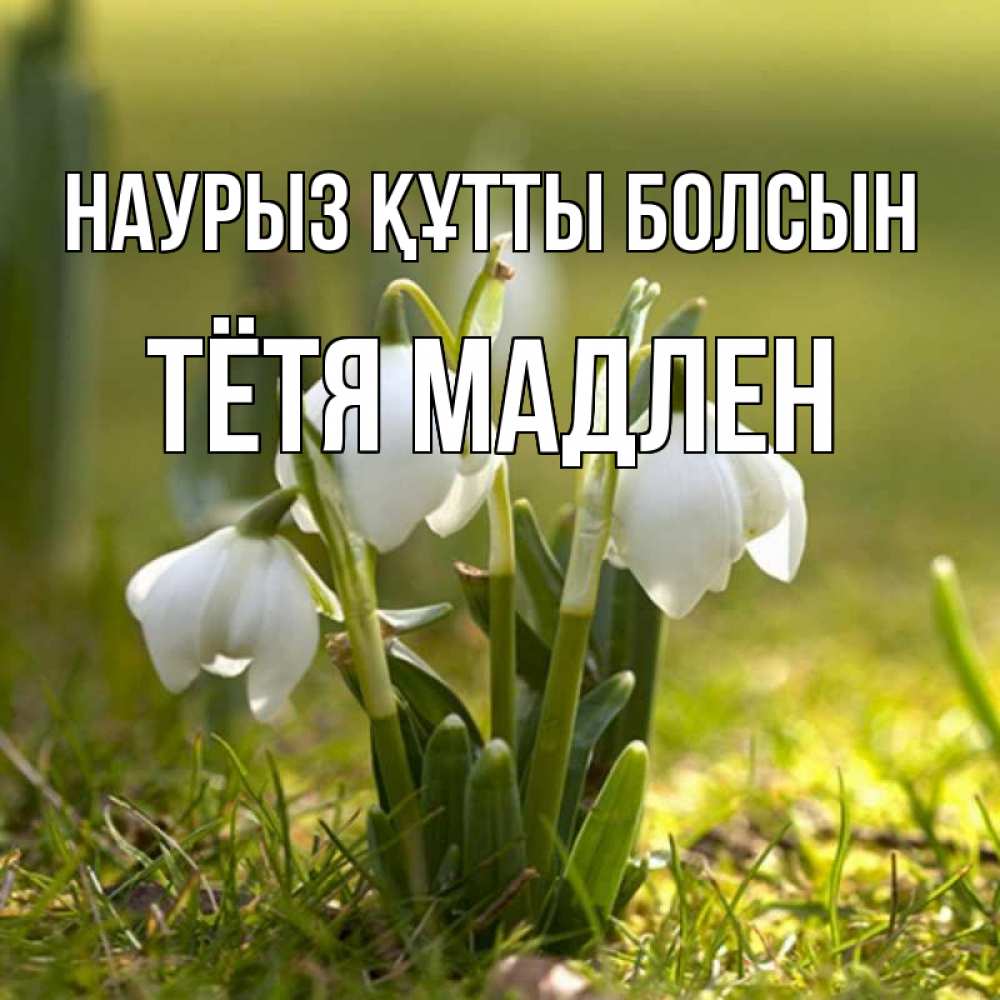 Открытка на каждый день с именем, Тётя-Мадлен Наурыз құтты болсын ранние цветы 2 Прикольная открытка с пожеланием онлайн скачать бесплатно 