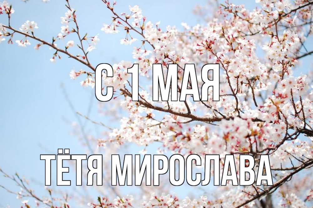 Открытка на каждый день с именем, Тётя-Мирослава С 1 мая С 1 мая Прикольная открытка с пожеланием онлайн скачать бесплатно 
